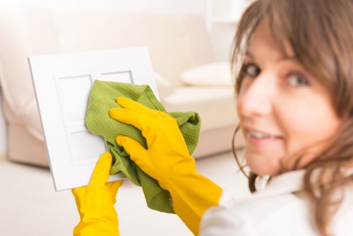 Eco-friendly carpet cleaning practices in a London property